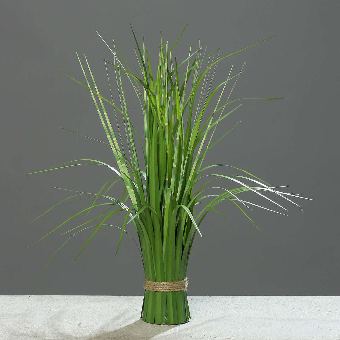 California Beach Grass