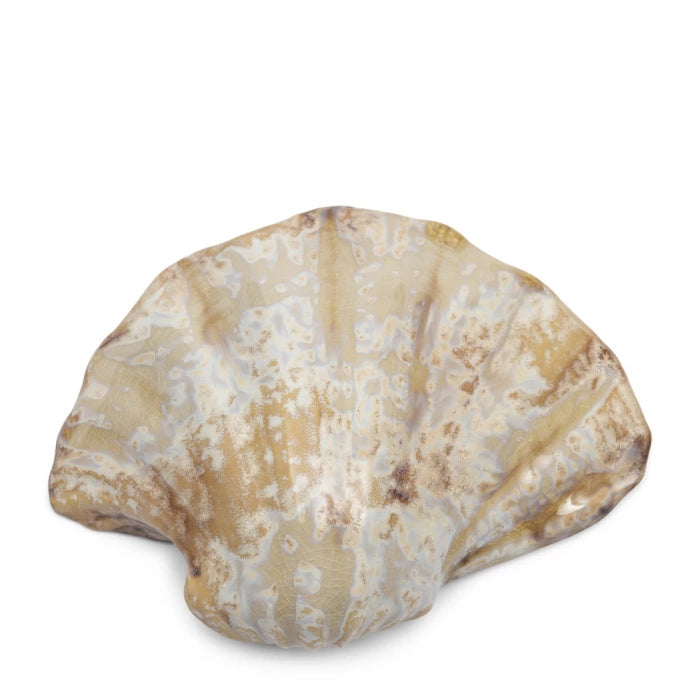 Loulé Shell