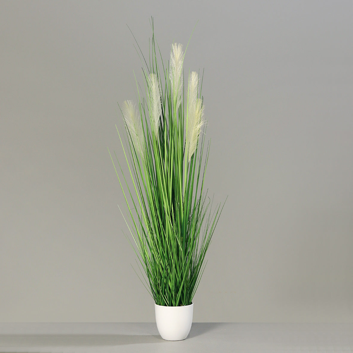 Grass in pot