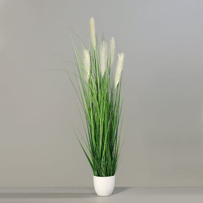 Grass in pot