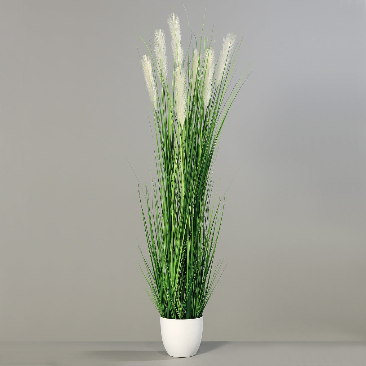 Grass in pot