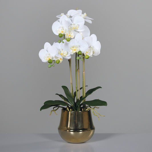 Orchideen Arrangment in gold pot