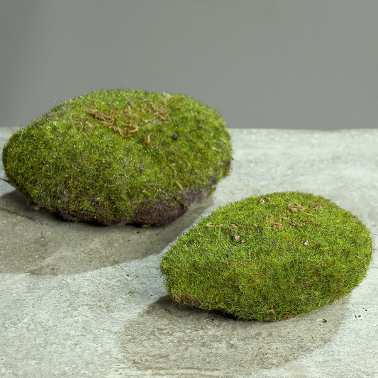 Moss Sponge