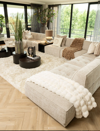 Brandon Modular Adjustable Sofa