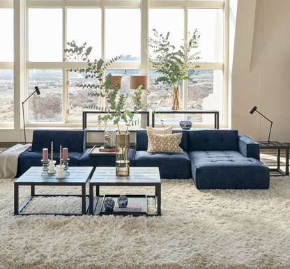 Brandon Modular Adjustable Sofa